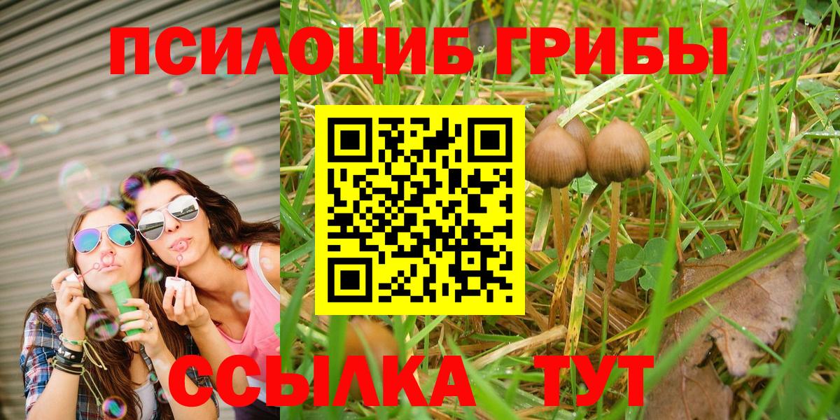 Псилоцибиновые грибы Magic Shrooms Лосино-Петровский