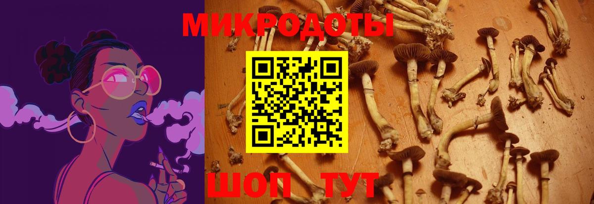 Лосино-Петровский  Псилоцибиновые грибы мухоморы  Вход с VPN 
